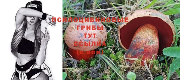 mdpv Иннополис