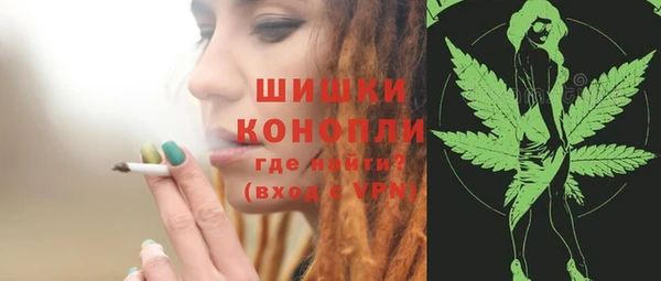 гидропоника Инта