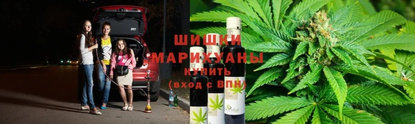 гидропоника Инта