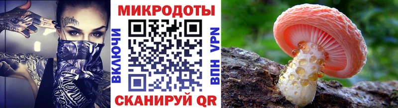 Купить закладки  Бологое  Галлюциногенные грибы Cubensis 